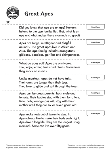 300445E02_LP-BM-SS copy