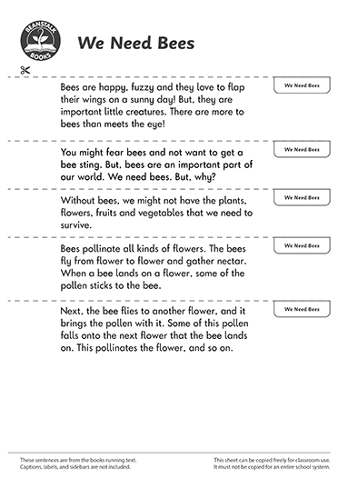 300447E02_LP-BM-SS copy