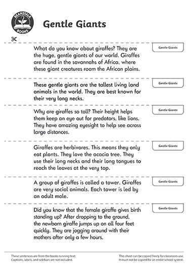 300463E02_LP-BM-SS copy