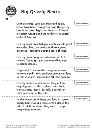 300478E02_LP-BM-SS copy