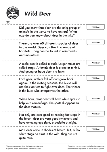 300480E02_LP-BM-SS copy