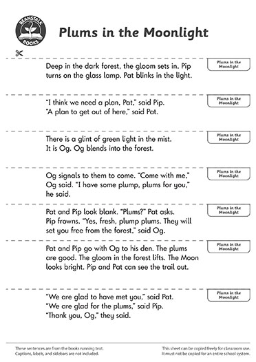 300559E02_LP-BM-SS copy