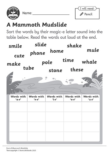 300573E02_LP-BM-SS copy