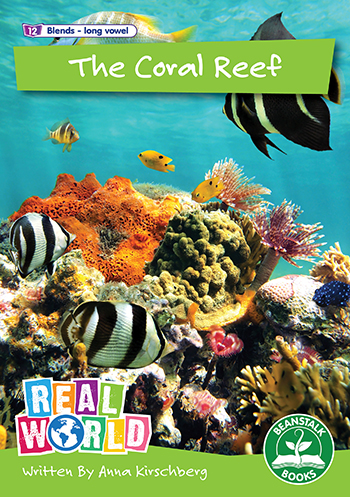 The Coral Reef