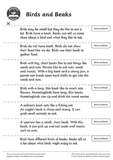 300662E02_LP-BM-SS copy