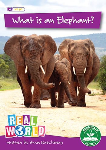 What is an Elephant?