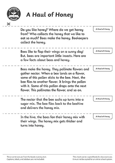 300665E02_LP-BM-SS copy