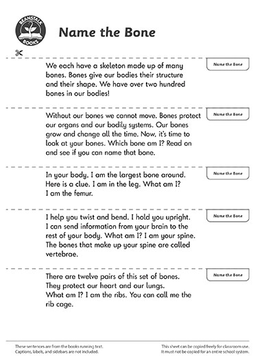 300667E02_LP-BM-SS copy