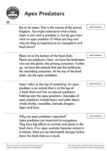 300669E02_LP-BM-SS copy